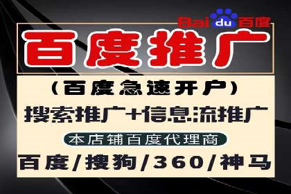 SEM运营公司案例解析：精准广告投放技巧